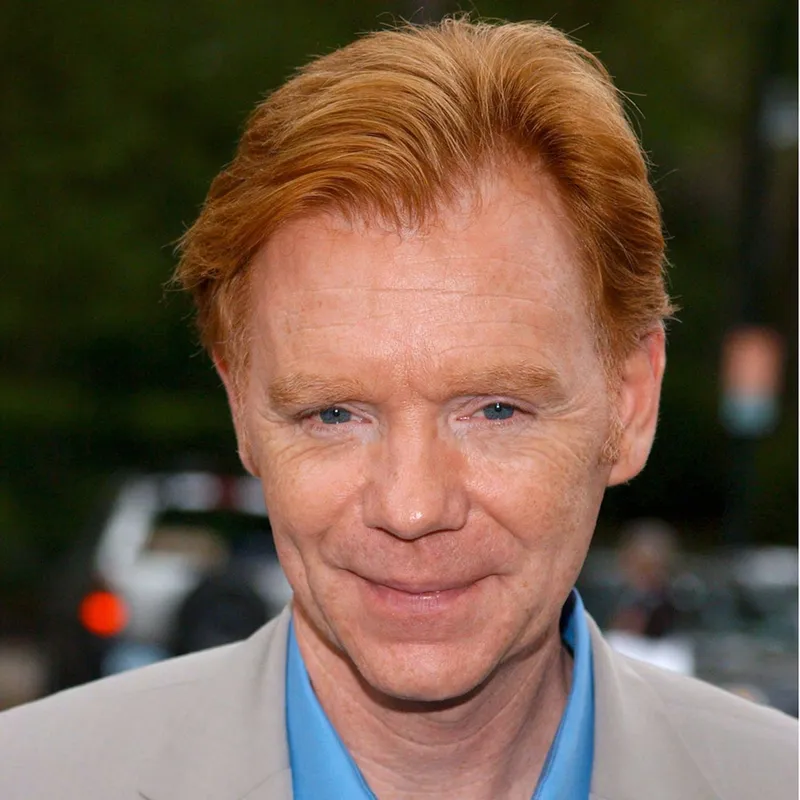 David Caruso Ehepartnerin: Ehefrauen, Beziehungen & Kinder 2026