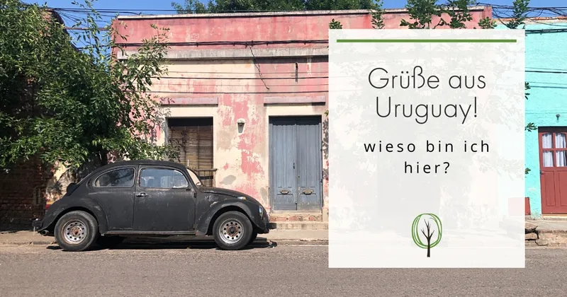 Grüße aus Urguguay – Fazit nach 4 Monaten + wie steht es mit der Umwelt hier?