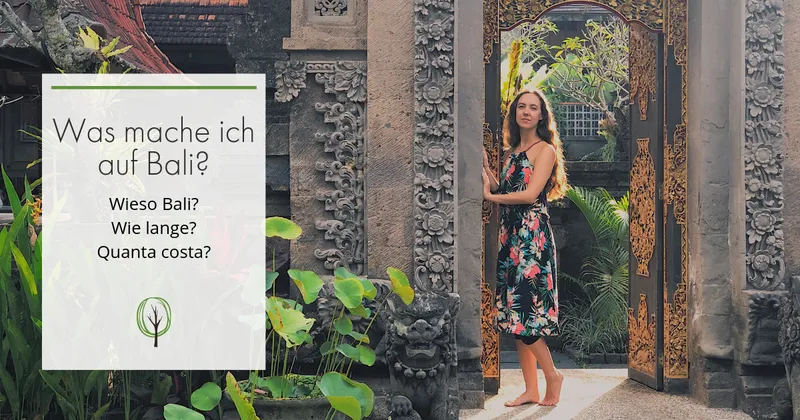Bali – Was mache ich hier? Von Killermücken und Bali Belly!