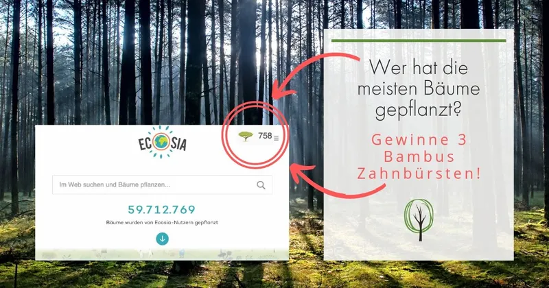 ECOSIA als Suchmaschine – Ganz einfach nachhaltiger suchen.