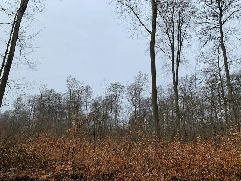 Niedrigwasser im gesamten Kreisgebiet – Wasserentnahme aus Gewässern verboten