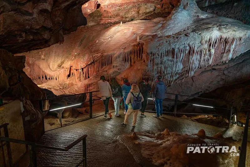 Cheddar Gorge: Spektakuläre Schlucht, geheimnisvolle Höhlen und ganz viel Cheddar