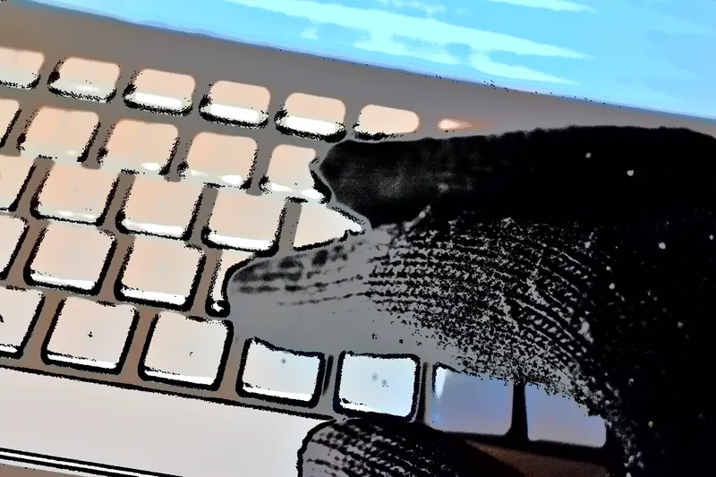 Phishing und Smishing – die Tricks der Online-Abzocker