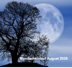 9. Mondscheinlauf 28.8.2026