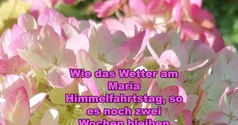 Wird es jetzt zwei Wochen lang regnen?