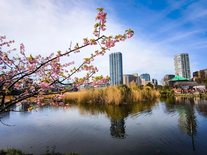 Ueno in Tokio: Sehenswürdigkeiten und Tipps für Euren perfekten Tag