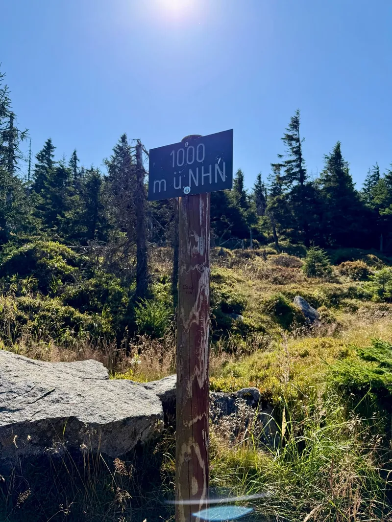 Wandertag im Harz, Teil 5: 9 Stunden, 30 Kilometer, 1000 Höhenmeter und 1 Muskelkater aus der Hölle!