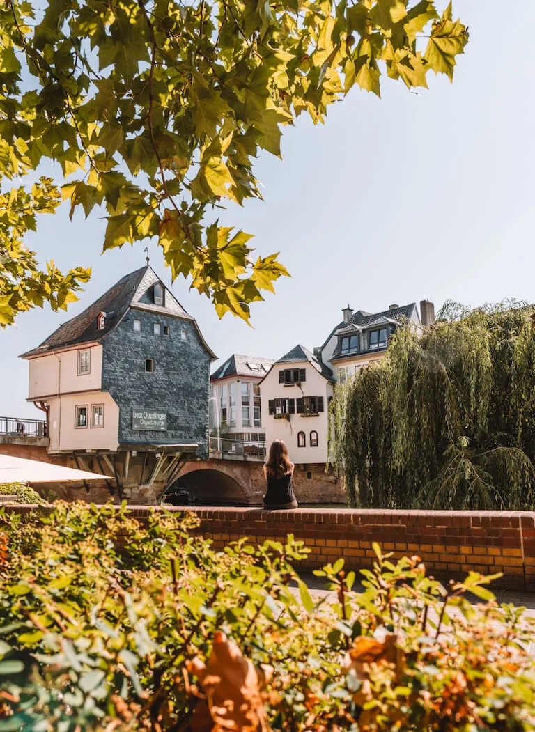 Schönste Orte in Rheinland-Pfalz: Erkunde Alzey, Bad Kreuznach und das malerische Rheinhessen