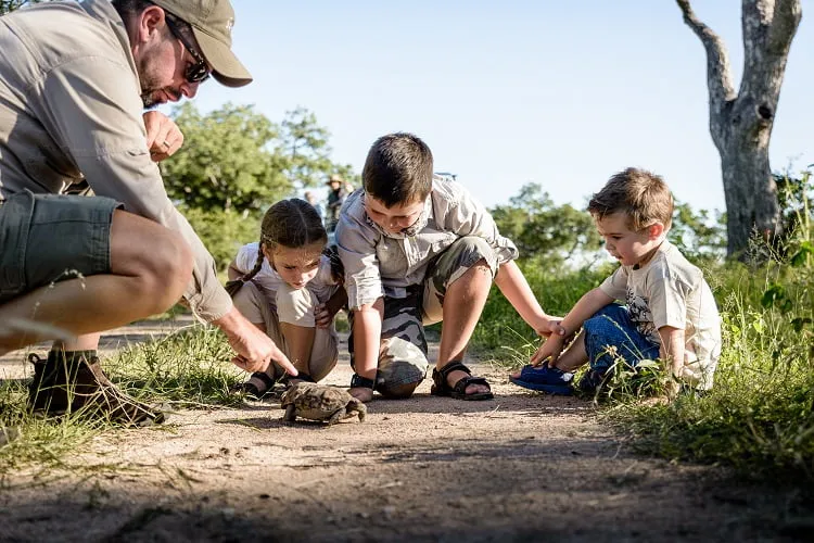 Familiensafari in Südafrika