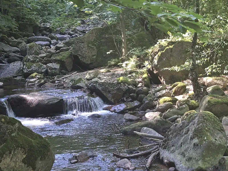 Die wilde Ilse im Harz