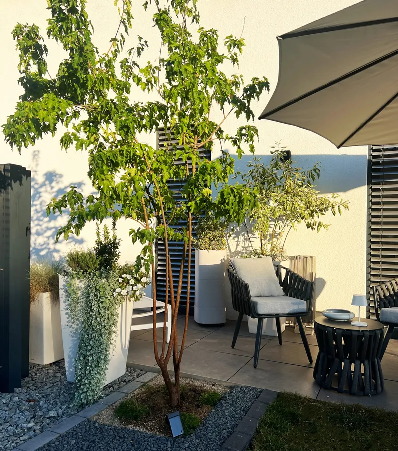 Gartendesign mit Bäumen – natürliche Eleganz und stilvoller Sonnenschutz