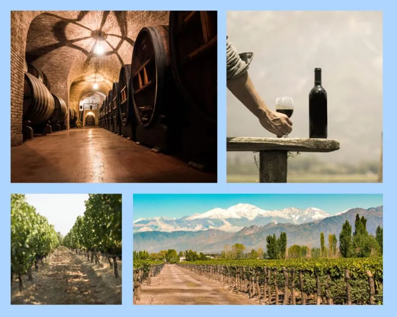Weinreisen durch Argentinien & Chile: Die schönsten Weinregionen Südamerikas entdecken