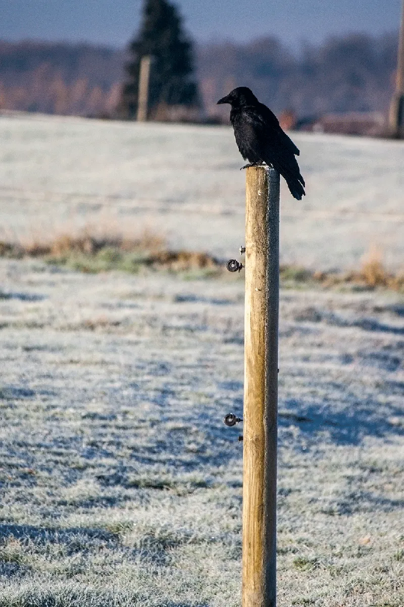 November-Winter Teil 2