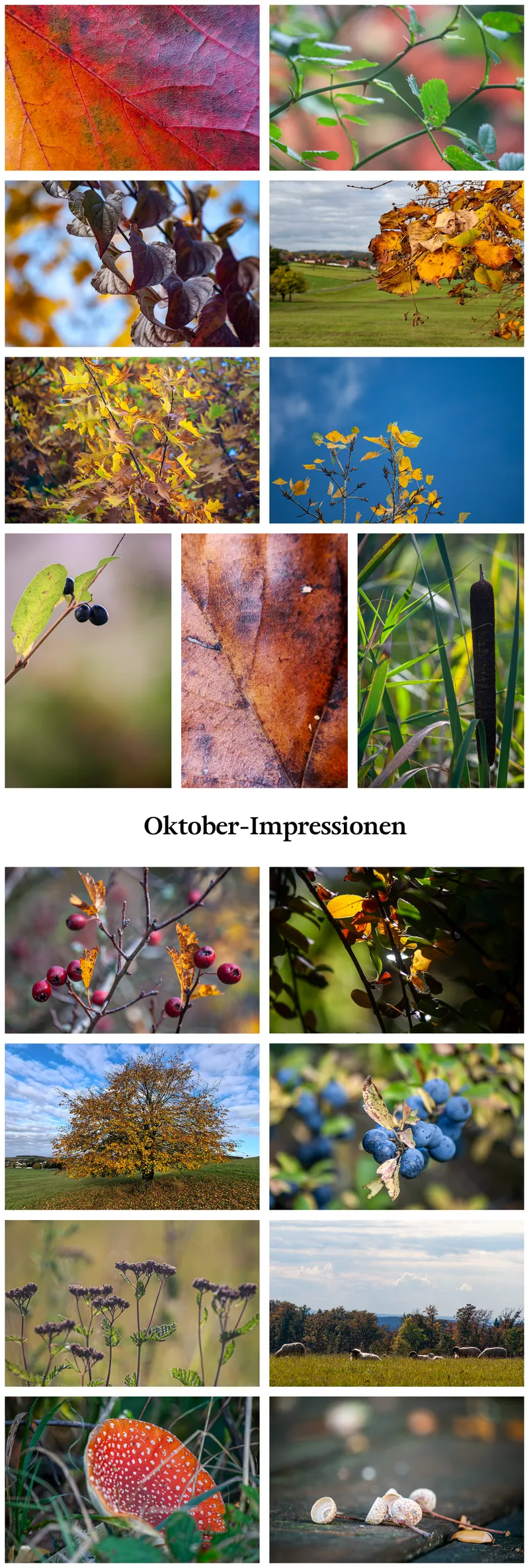 Natürliche Oktober-Impressionen.