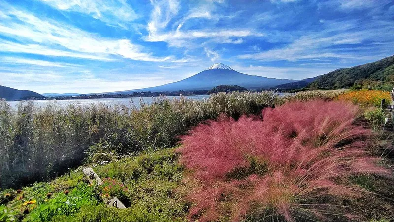 Fujiwagakuchiko & der Kawaguchi-See - Mega-Ausblick auf den Mt. Fuji | My Travelworld