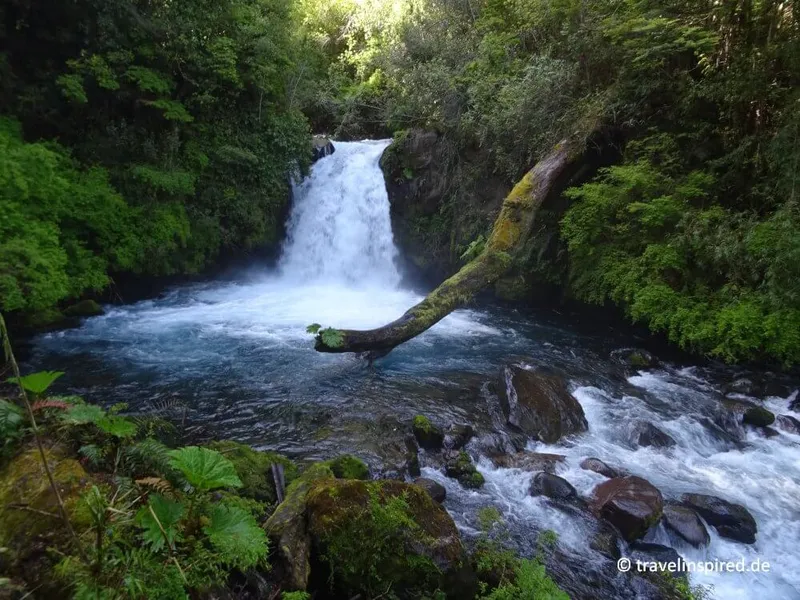 Chile Geheimtipp – Wandern im Nationalpark Puyehue