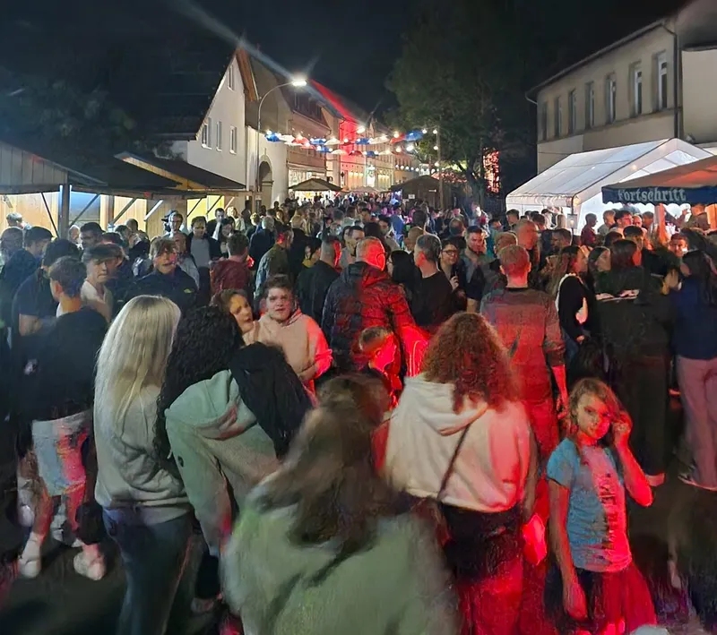 41. Straßenfest der Meckesheimer Vereine