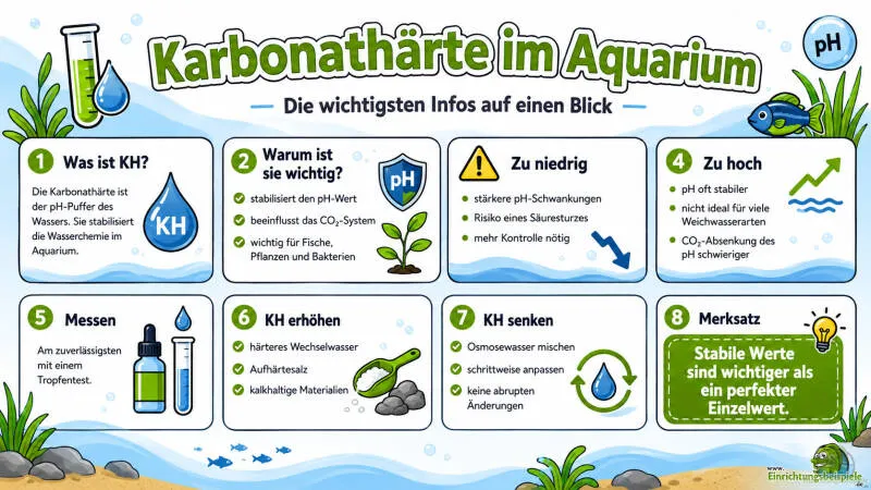 Karbonathärte im Aquarium: Bedeutung, Messung und richtige Einstellung von Tom