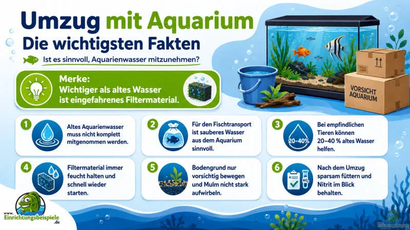 Aquarienwasser beim Umzug mitnehmen: Sinnvoll oder nicht? von Tom