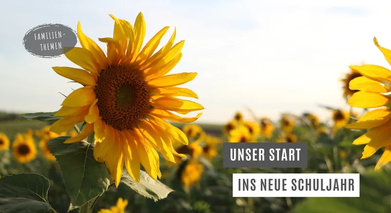 Ferienende in Niedersachsen: So starten wir ins neue Schuljahr