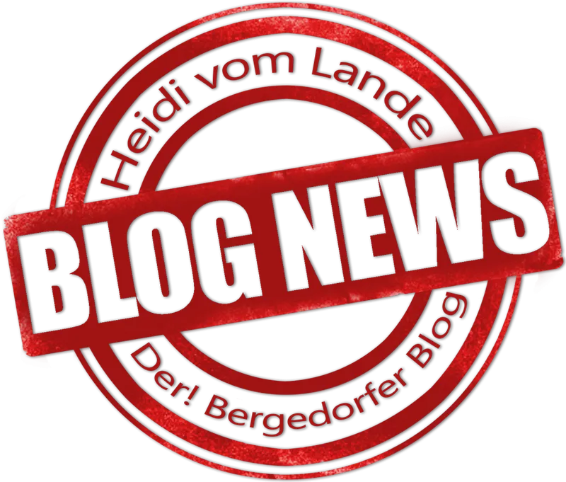Bergedorf sucht Projekte für den Esther-Bejarano-Gedächtnispreis 2027!