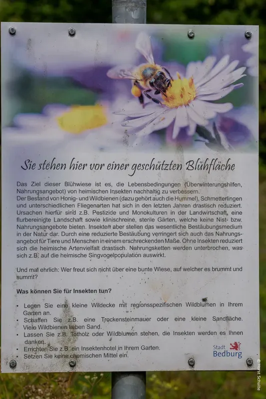 Auf der Makro-Pirsch