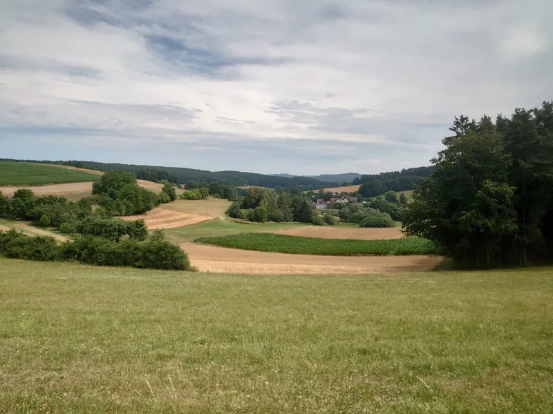 12tel-Blick: Juli 2026