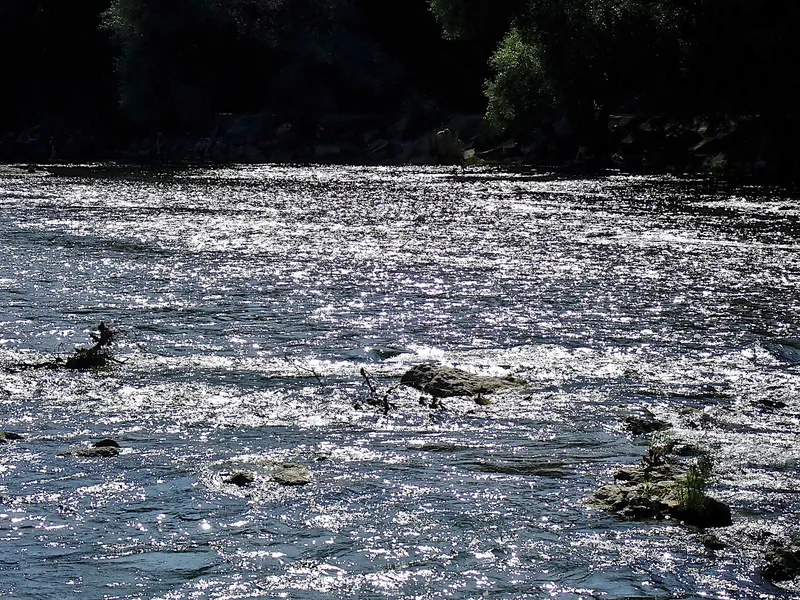 In der wilden Isar