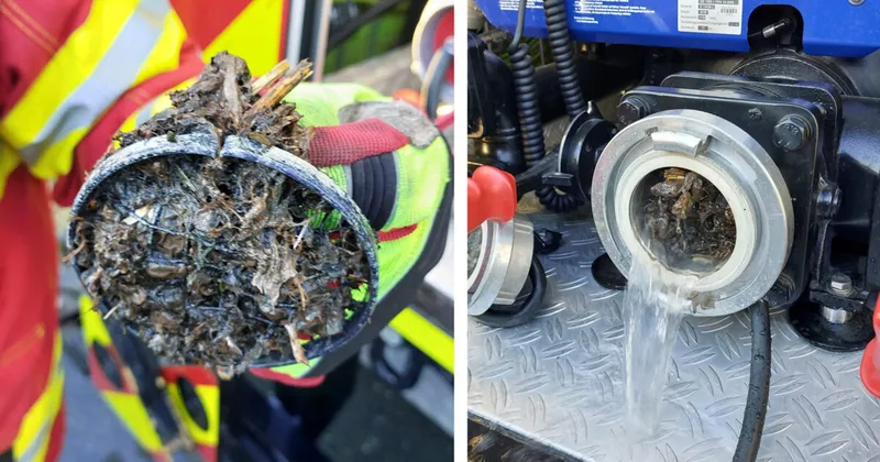 Wasserpflanzen blockieren Löschwasser: Feuerwehrübung legt Sicherheitslücke am Kirchhorster See offen