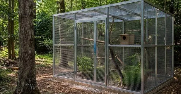 Private Wildtierhilfe Angelbachtal bittet um Spenden für sichere Auswilderungsvoliere