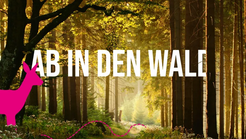 „Ab in den Wald“: Nachtwanderung und Waldbegehung im September