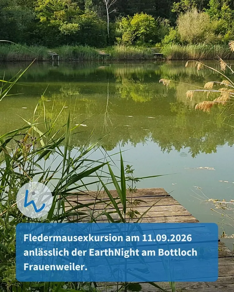 Fledermausexkursion in Frauenweiler zur Earth Night 2026