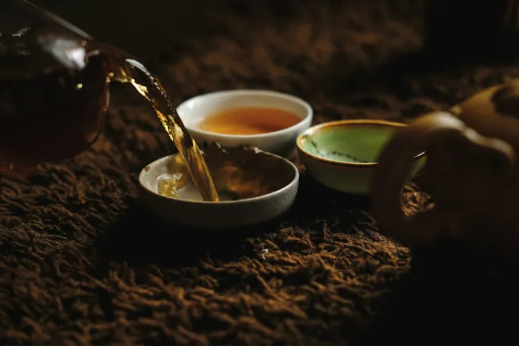 Tee für den Geist: Wie Pu-Erh, Matcha und Co. den Fokus schärfen und die Kreativität beflügeln können