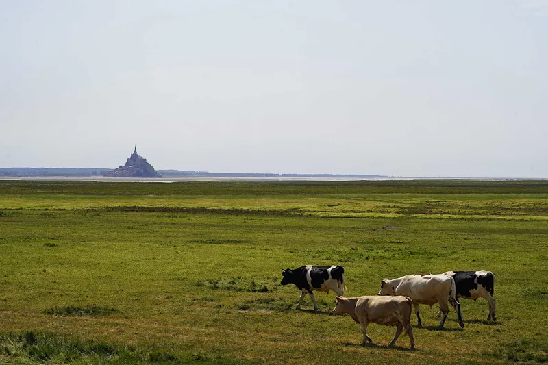 Frankreich 2026 (#07): Einfach ikonisch – Mont-Saint-Michel