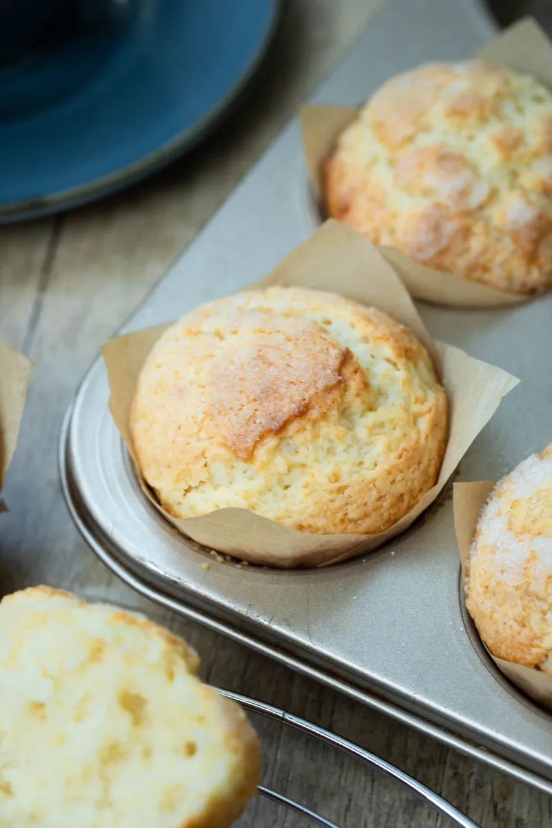 Quark Muffins