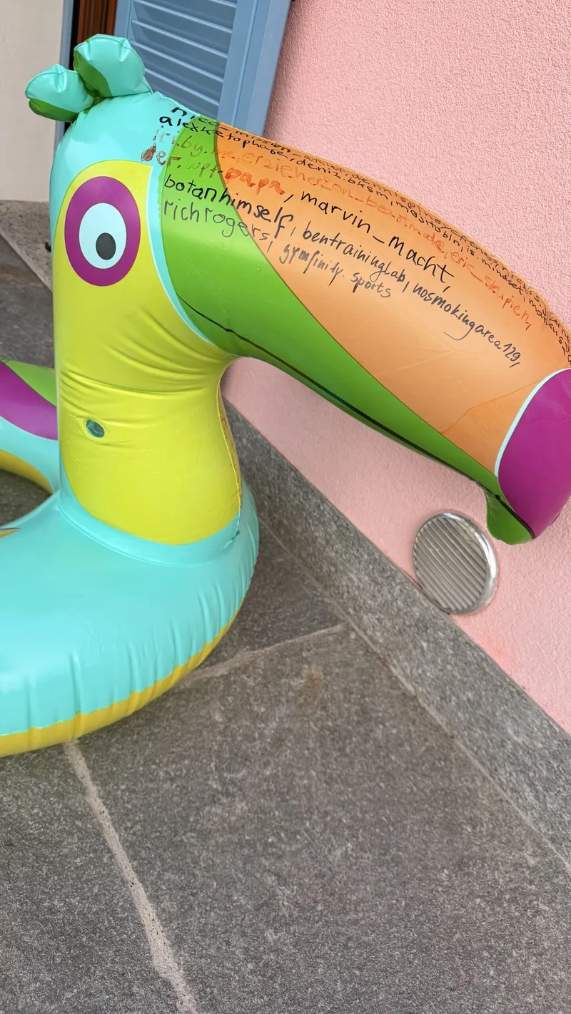 Der Fame Bird