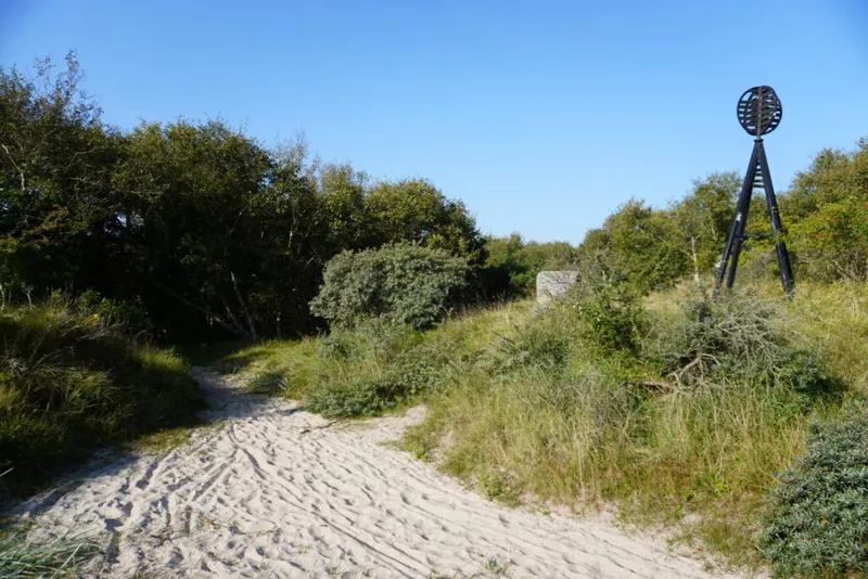 Die Greune Stee auf Borkum – Ein verwunschener Märchenwald voller Geheimnisse
