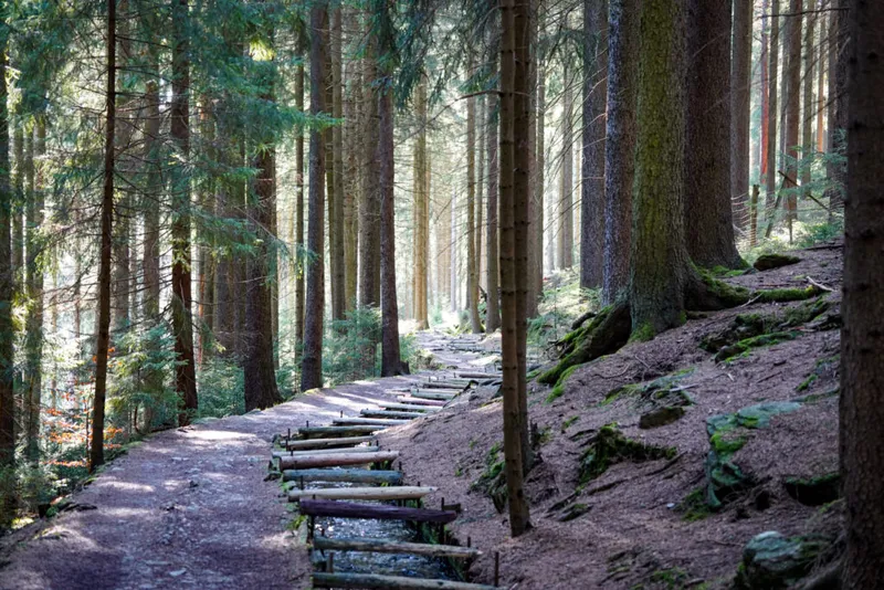 Unterwegs im Erzgebirge: Auf dem Bergbaulehrpfad Silberstraße.