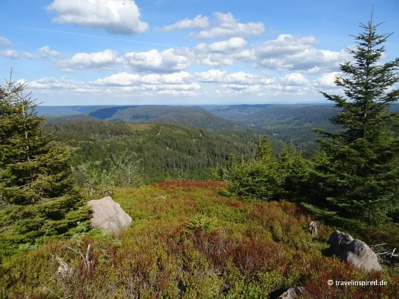 Hornisgrinde: Wandern an der Schwarzwaldhochstraße