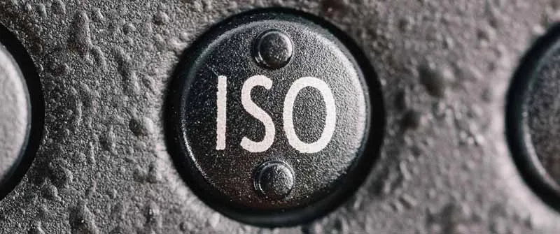 ISO-Automatik beim Fotografieren: Den Auto-ISO-Modus perfekt konfigurieren