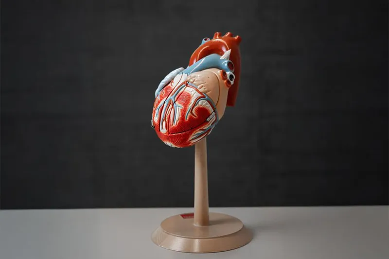 HeartGate entwickelt neuen Zugang für Herzpumpen