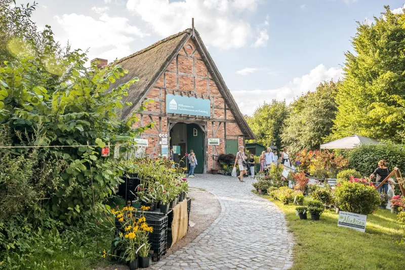 Bunte Blumenvielfalt beim Pflanzenmarkt am kommenden Wochenende