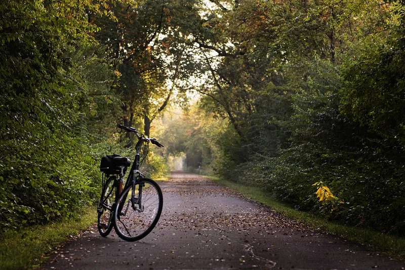 RadGuides Rhein-Neckar: Im September mit dem Fahrrad auf Entdeckungstour