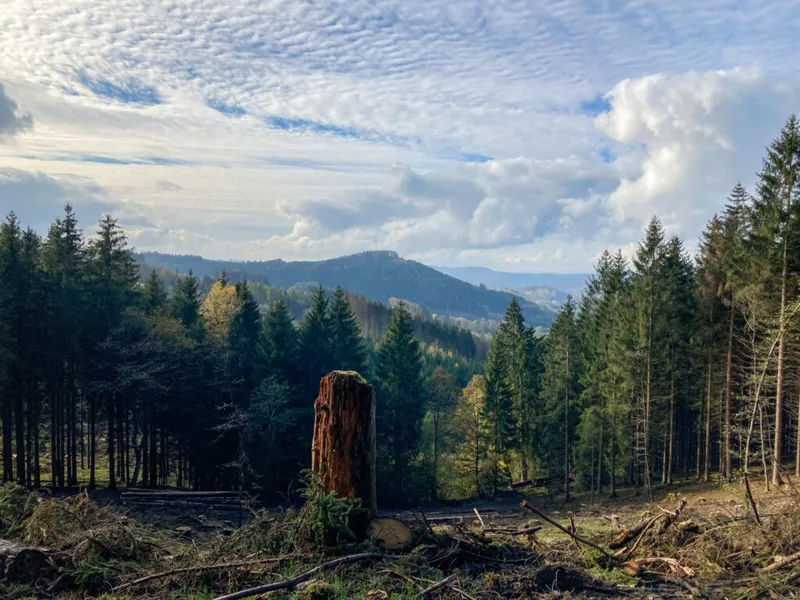 Die Oberhundemer Bergtour. Unterwegs auf geheimnisvollen Eselspfaden.