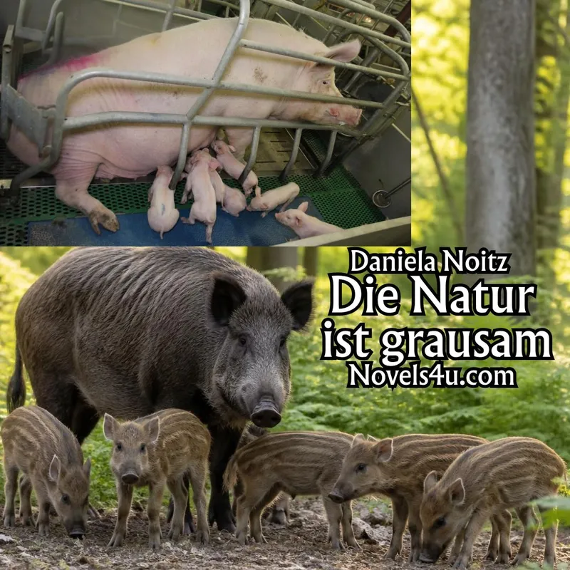 Die Natur ist grausam