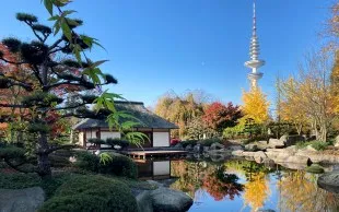 Hamburg japanisch: Restaurants, Shops, Events und (Garten-)Architektur