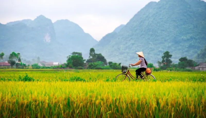 Vietnam entdecken: Flusskreuzfahrt, klassische Rundreise oder eBike – welcher Reisestil ist der richtige?