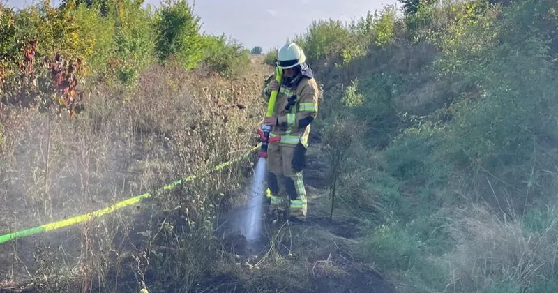 Böschungsbrand löst Feuerwehreinsatz aus
