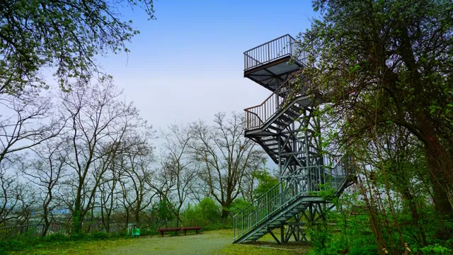 Tour 1425 – Oberhausen – STOAG Trassenspaziergang 9