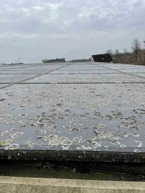 Versteckte Ertragsfresser auf dem Dach: So holen Anlagenbetreiber im Norden das Maximum aus ihren Solarmodulen